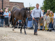 PN030825-140 - Len